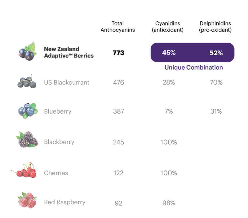 ezgif-2-be00966e702a-small2